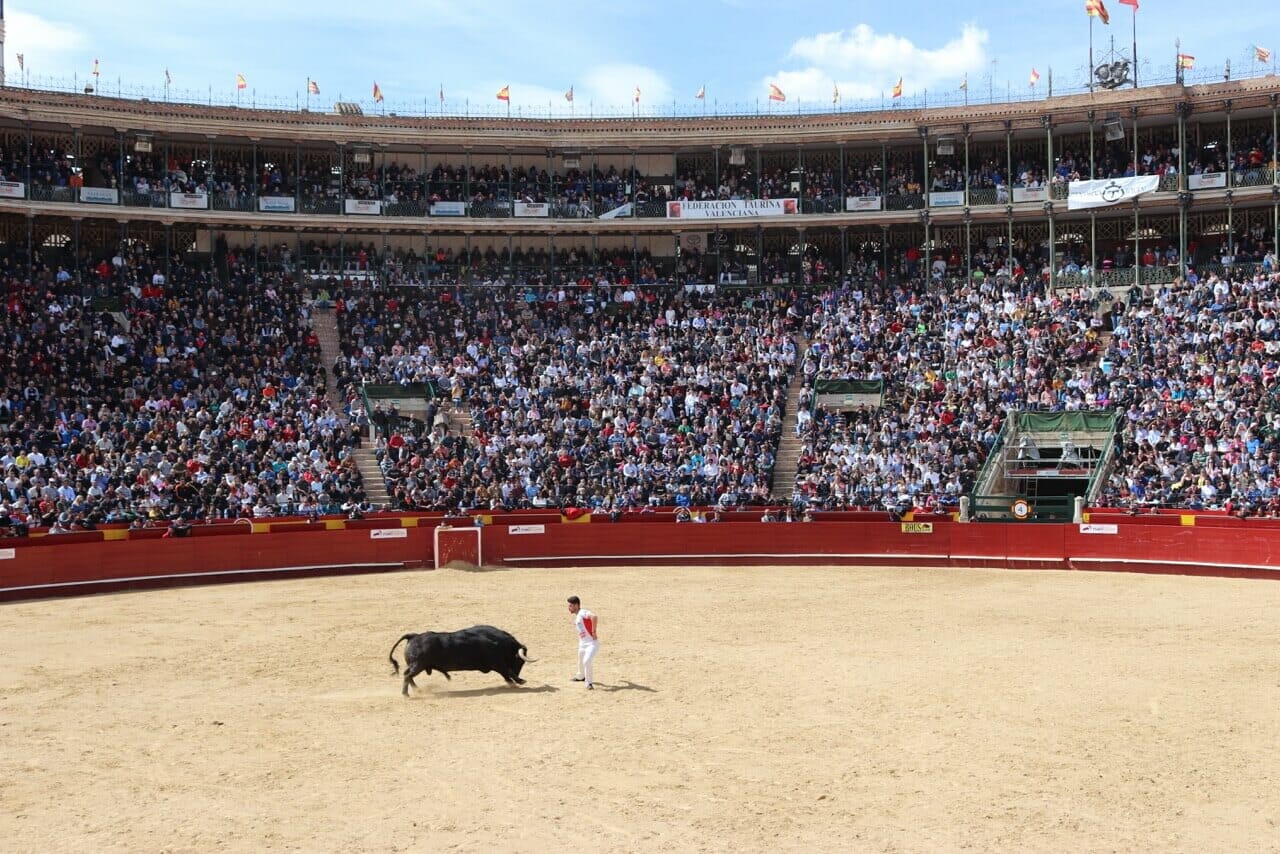 bullfighting-valencia-spain-recortes