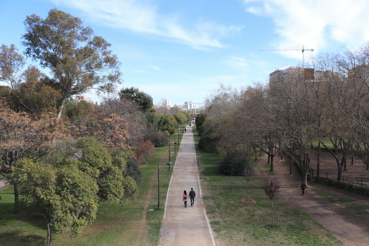 um casal andando de mãos dadas com várias árvore em ambos os lados no Jardim Turia, Valência