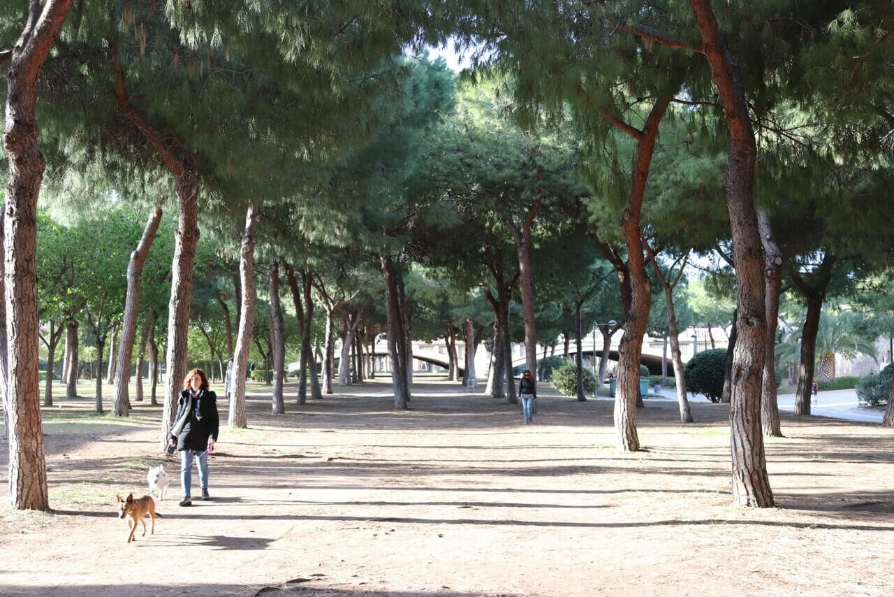 Una mujer paseando a su perro debajo de unos árboles en el Jardín del Turia en Valencia