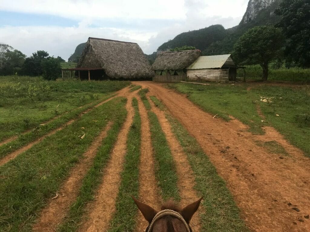 Passear a cavalo em Viñales é perfeito pra relaxar depois de ter visitado a agitada Havana.