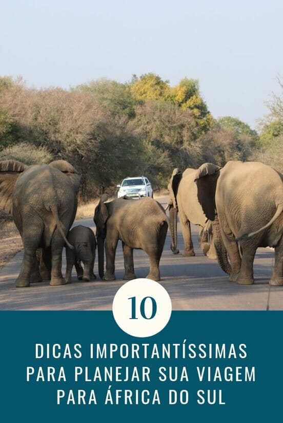 Viagem para África do Sul: 10 Dicas Importantíssimas 1