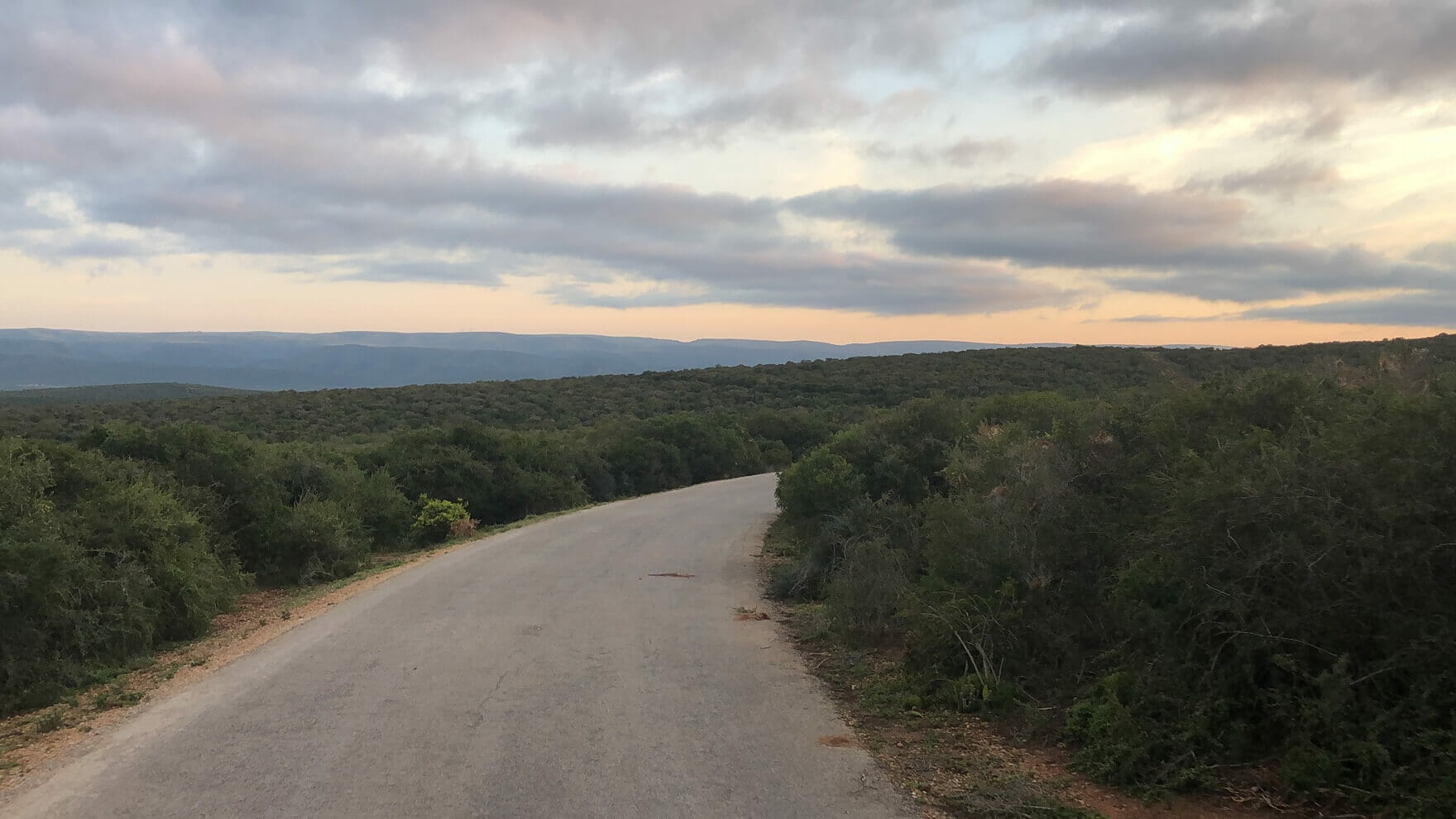 Parque Nacional Addo