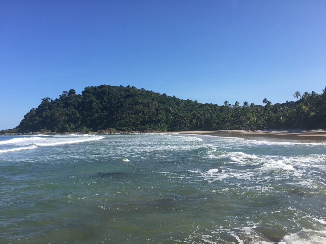 A Praia da Engenhoca, em Itacaré, Bahia, cercada pela vegetaçāo nativa da Mata Atlântica 