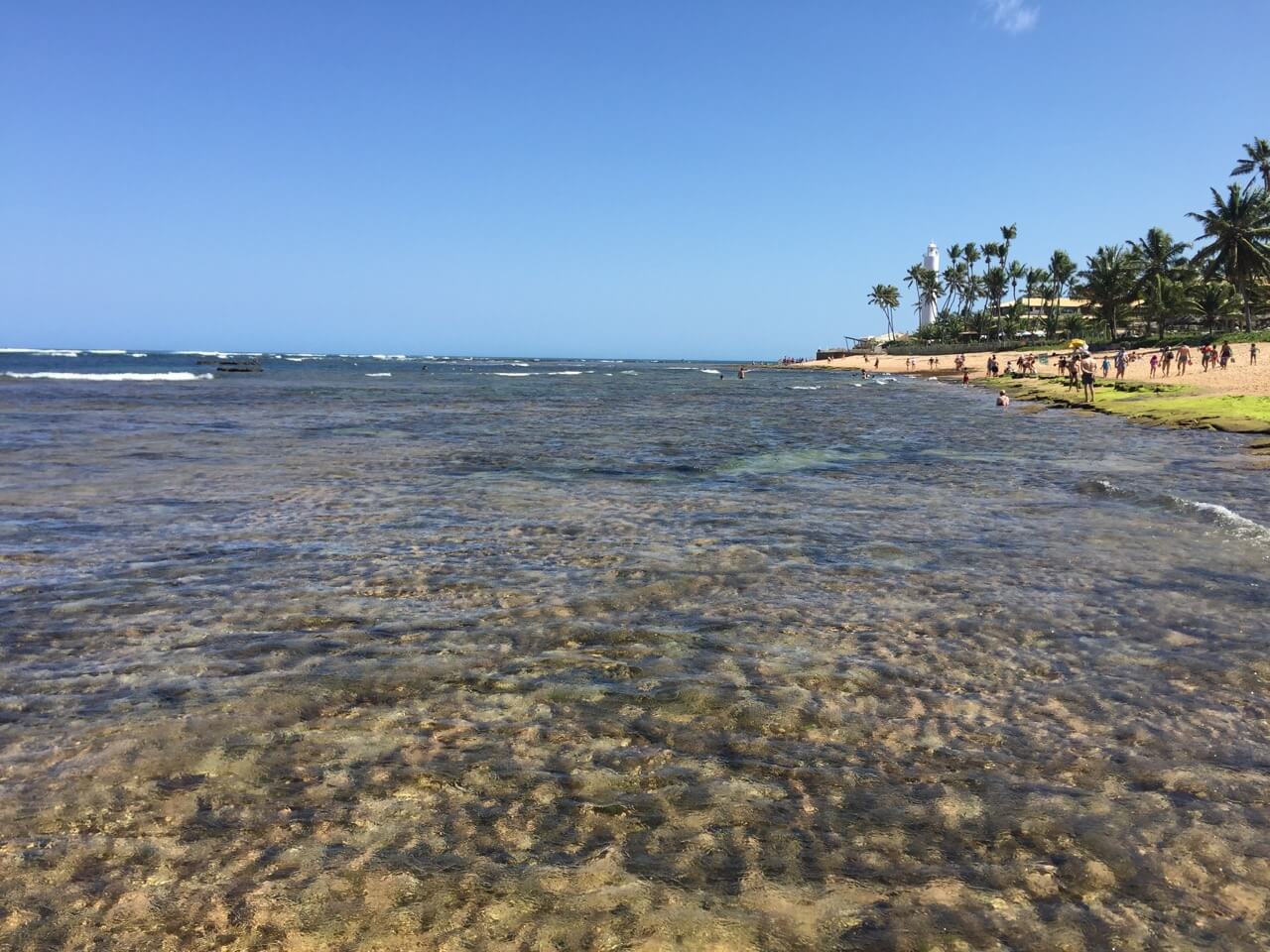 as piscinas naturais da Praia do Papa Gente, Praia do Forte, Bahia