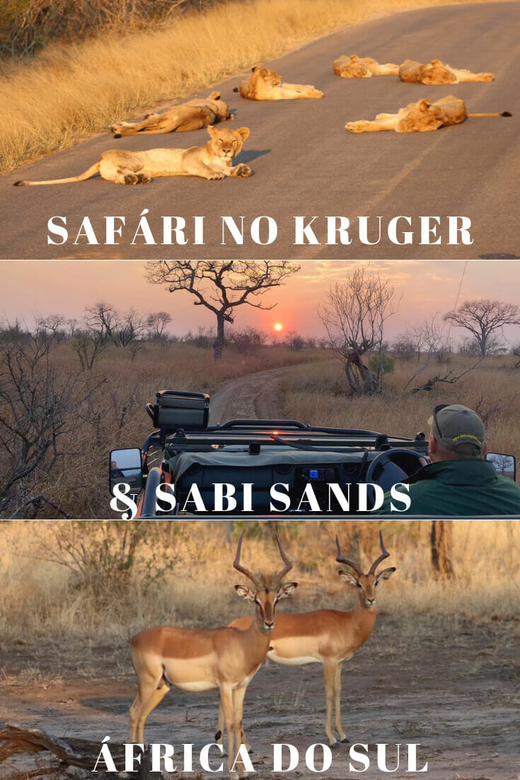 como-fazer-safari-no-parque-kruger