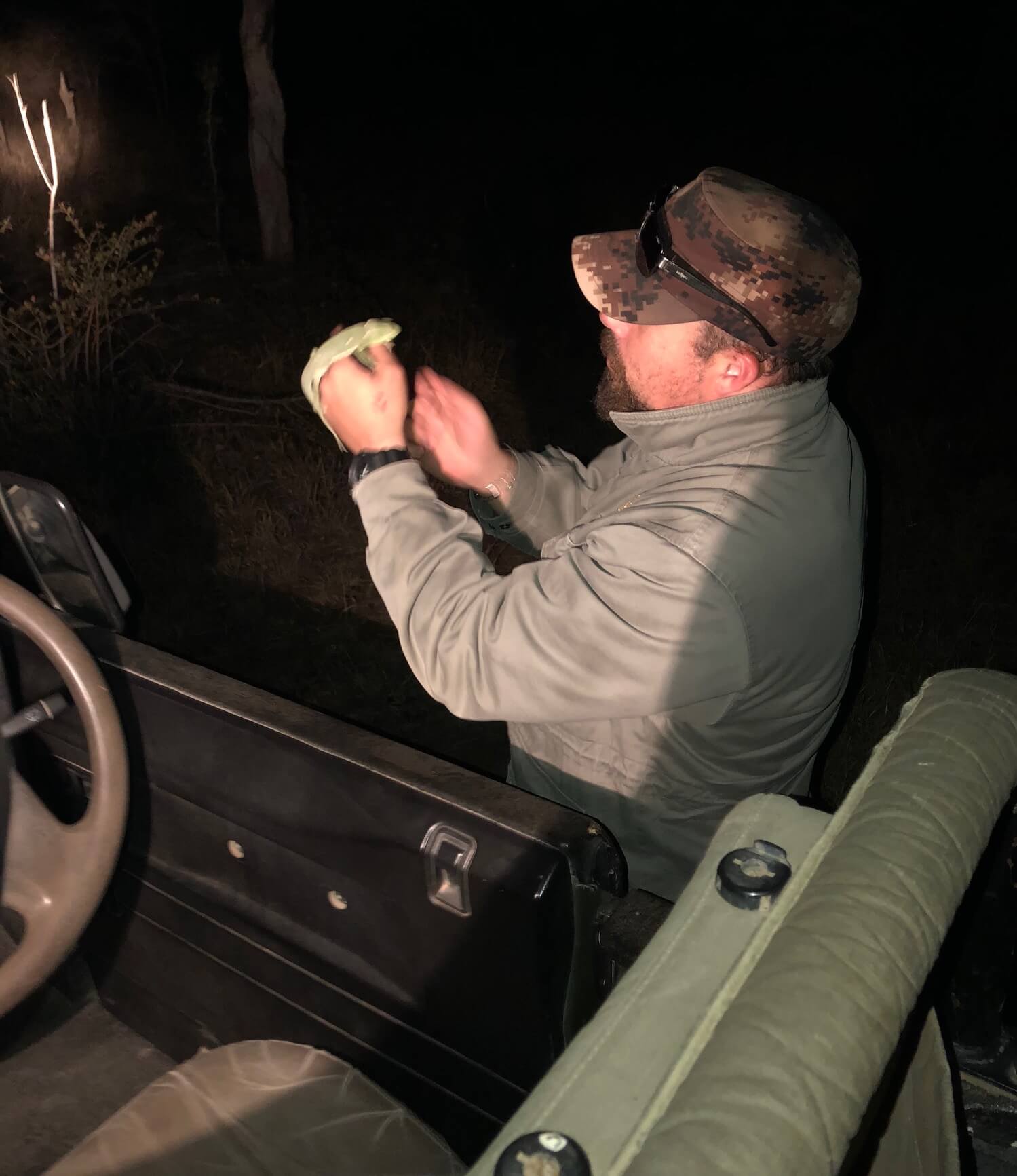 Can you imagine how difficult it's to spot a chameleon at night?