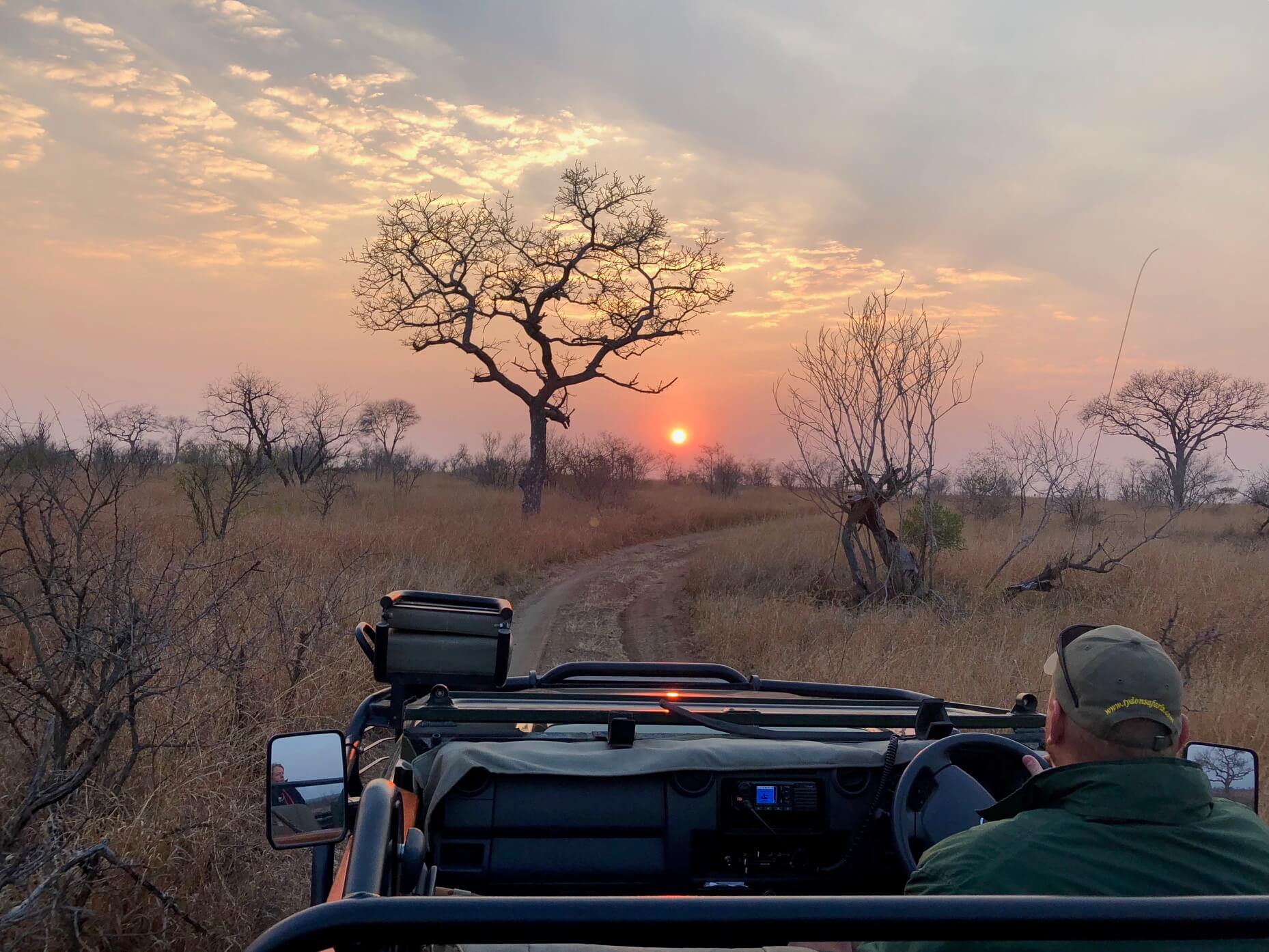 Chegamos em Sabi Sands na hora certa para ver esse magnífico amanhecer!