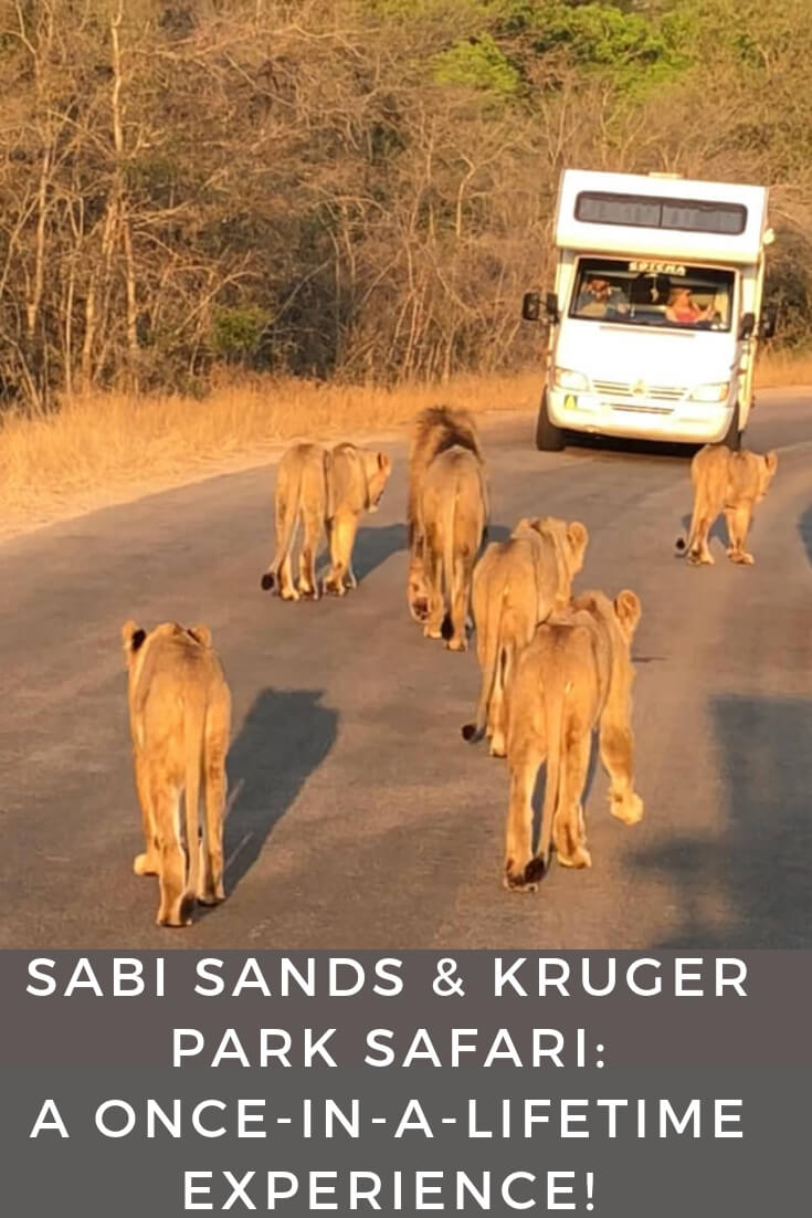 sabi-sands-kruger-safari-pictures
