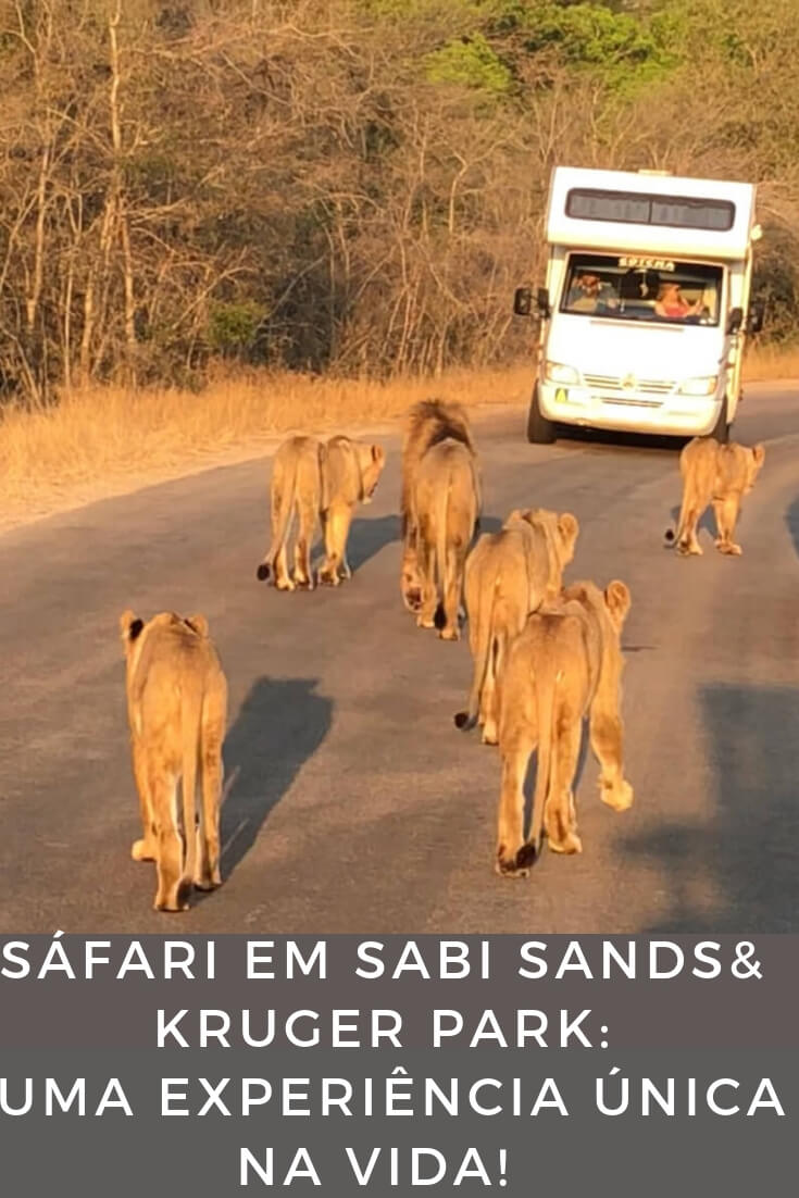 safari-no-parque-nacional-kruger