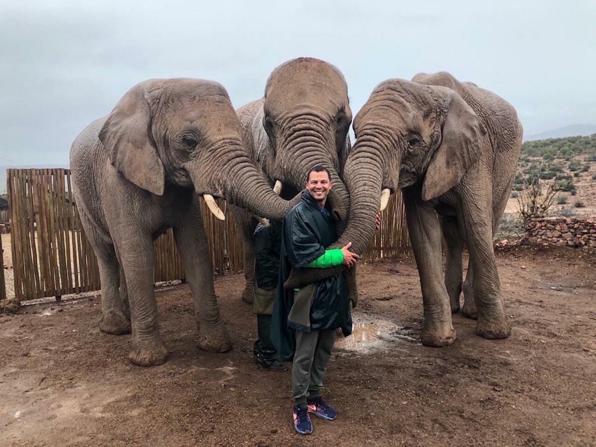 Péricles Rosa sendo abraçado pelas trombas de três elefantes no Buffelsdrift Game Lodge, Oudtshoorn, África do Sul