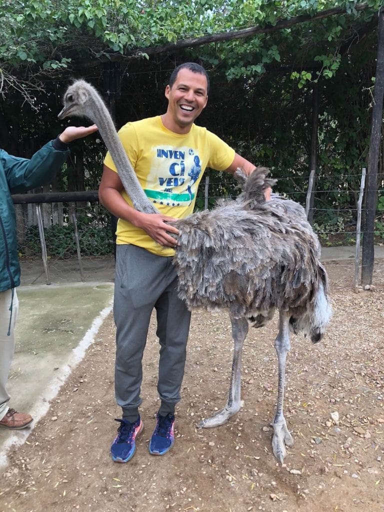 Pericles Rosa usanod um camiseta amarela e uma calça cinza acaricaindo um avestruz no Cango Ostrich Farm, Oudtshoorn, África do Sul