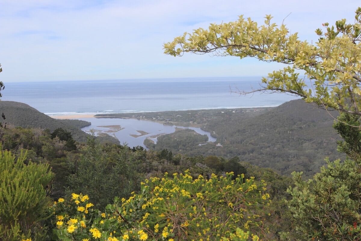 Bosque Nacional Tsitsikama 