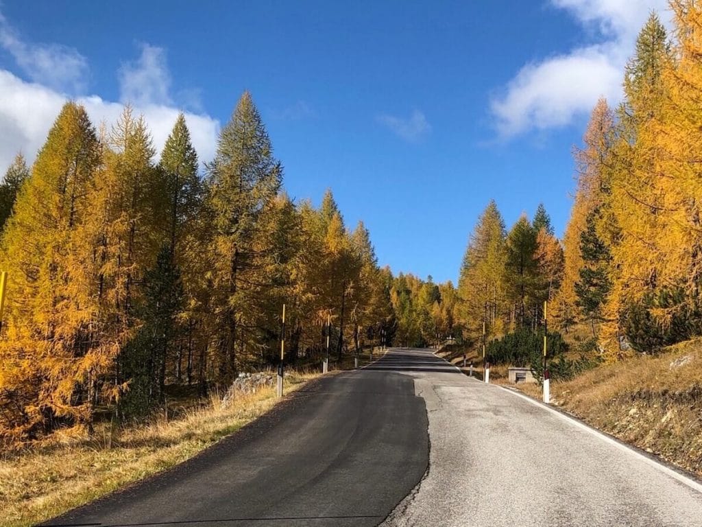 Carretera escénica en otoño