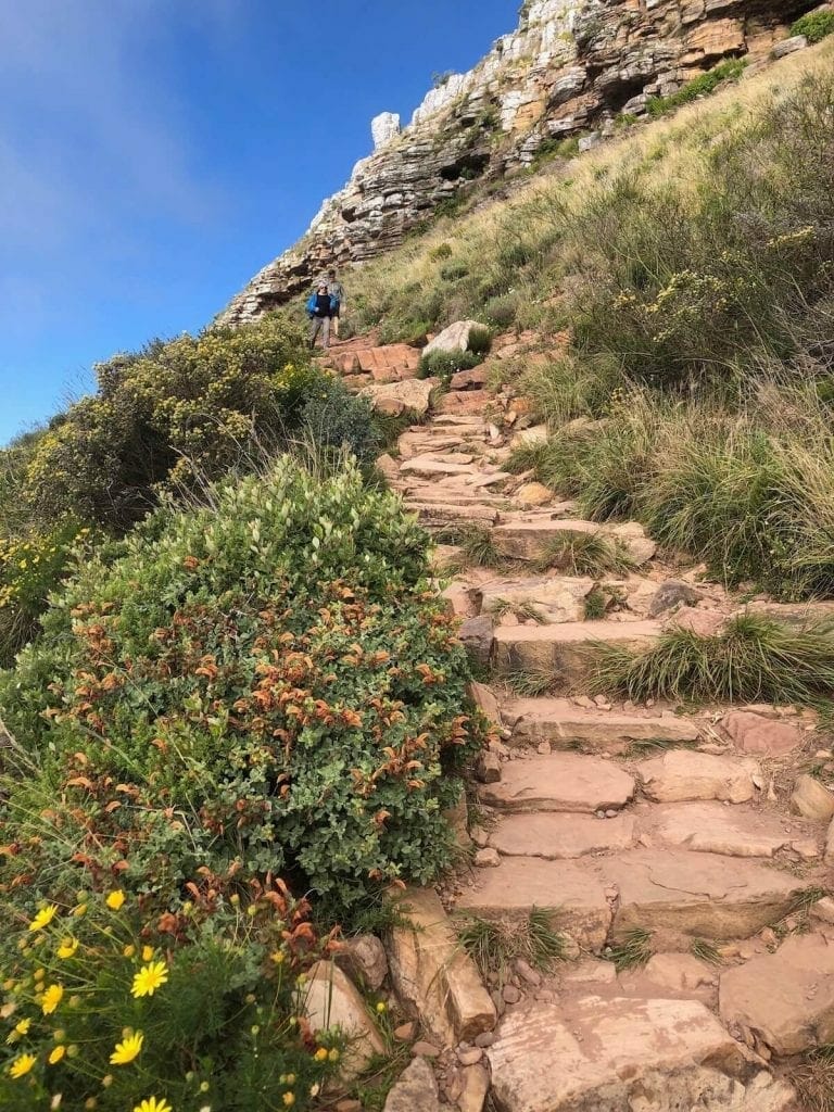 some of the rocky steps that are part of Lion's Head hiking trail