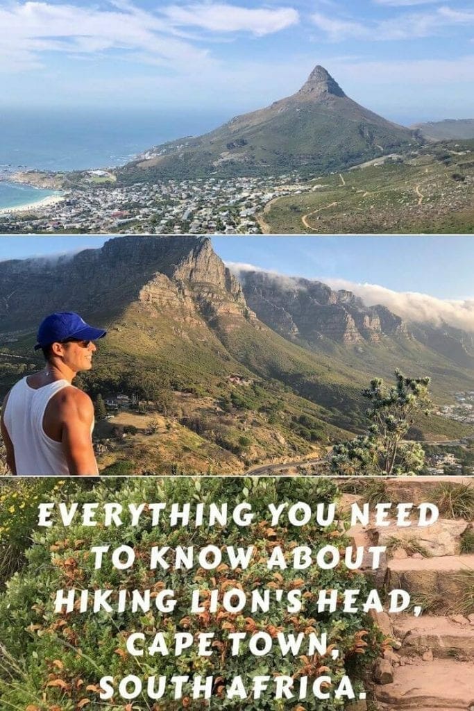 Lions Head Hike, Cape Town: 2023 Guide 1
