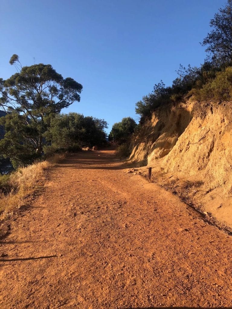 a red gravel path with some trees, which is the trailhead of Lion’s Head