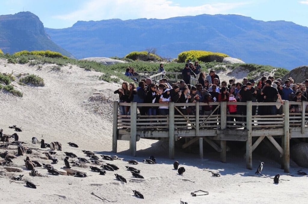 Boulders Beach, Simon's Town, Sudáfrica