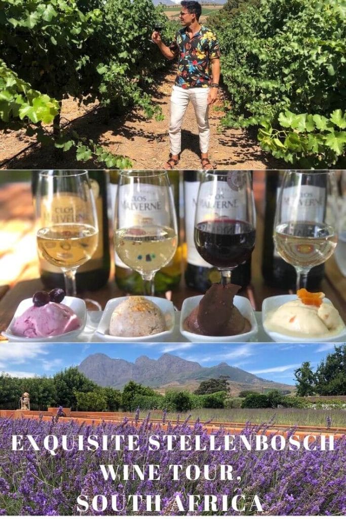 cape-town-wine-tours