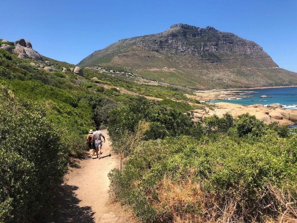 two people walking on a path surrounded by trees to Sandy Bay Beach in Cape Town, with a beach and a mountain in the background