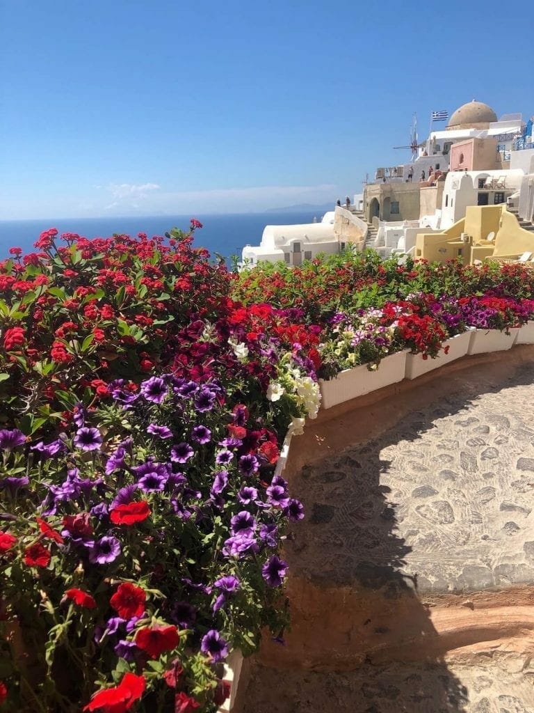flowers of different colours in the town of Oia, Santorini