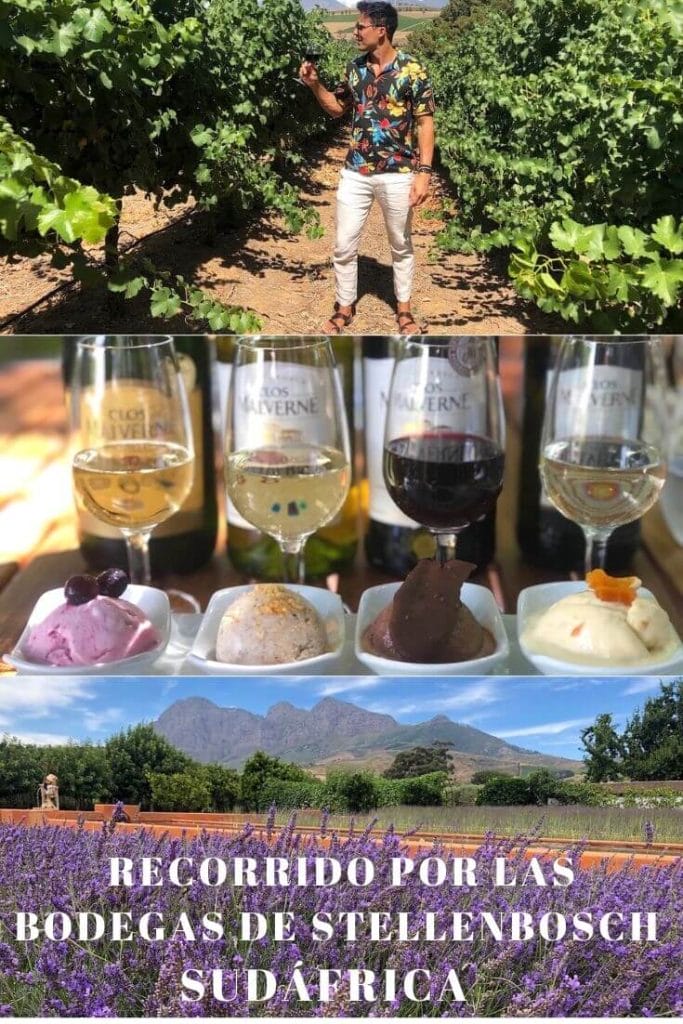 Degustación en las Bodegas de Stellenbosch con HotSpots2C 10