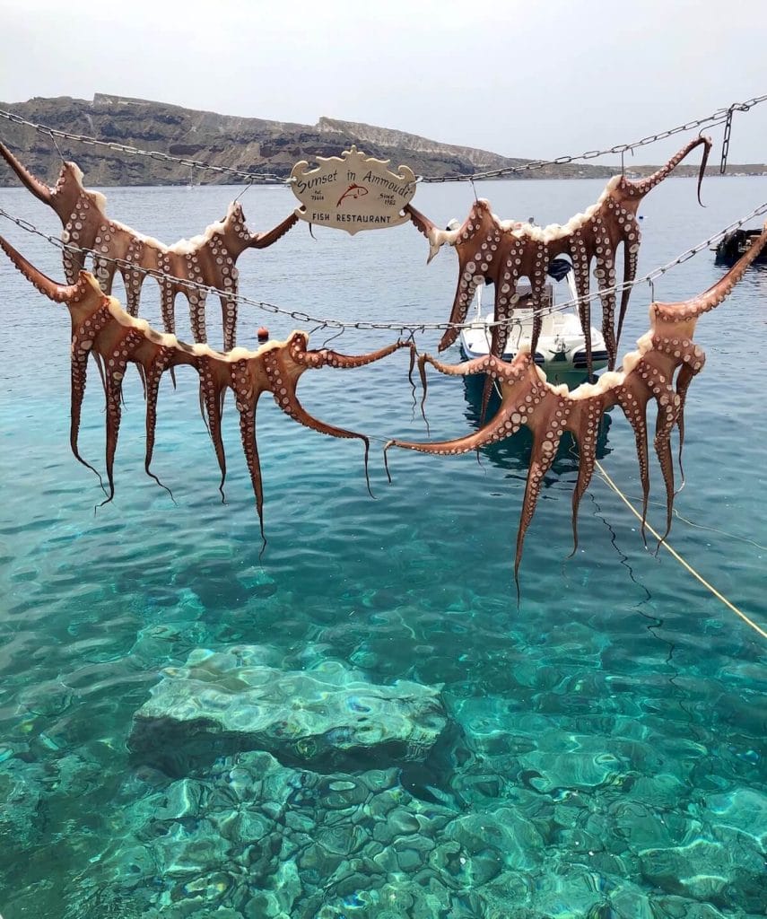 Squids hanged up at Ammoudi Bay, Santorini