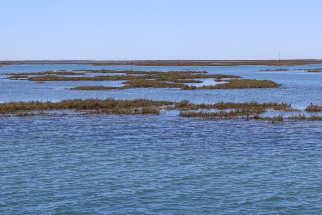 Ria Formosa