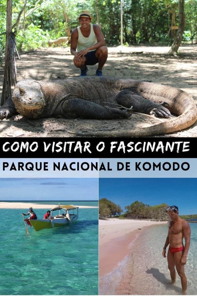 Como Visitar o Fascinante Parque Nacional de Komodo, Indonésia 8