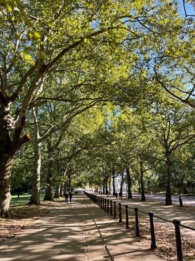 A pedestrian path and cycle route surrounded by trees at Constitution Hill, London