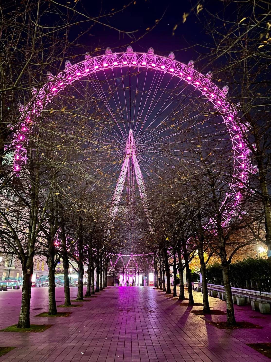 London Eye por la noche