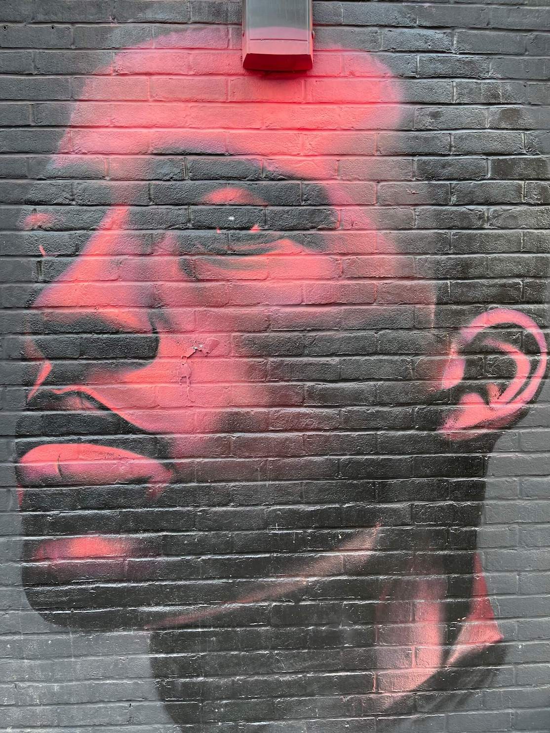 Um mural de retrato rosa neon de um homem feito por David Speed em Redchurch St, Londres