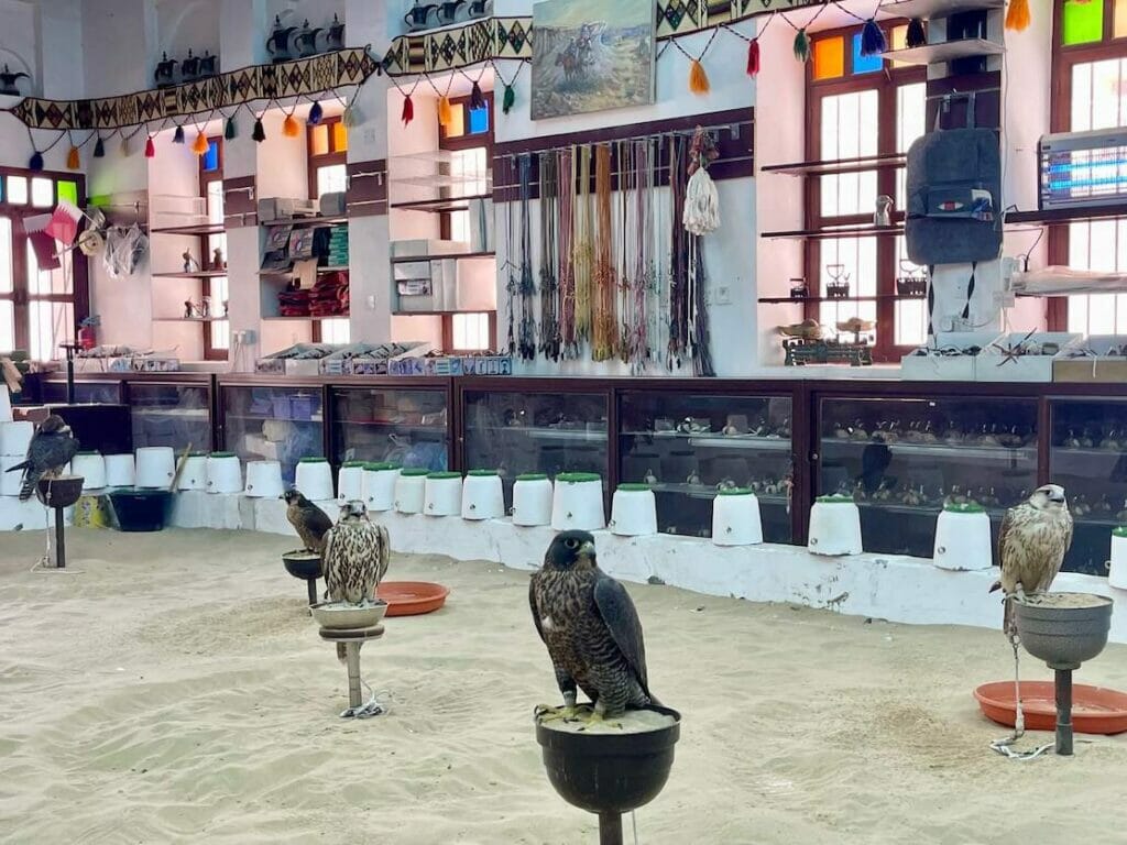 Halcones de pie en perchas de madera en Falcon Souq, Doha, Qatar