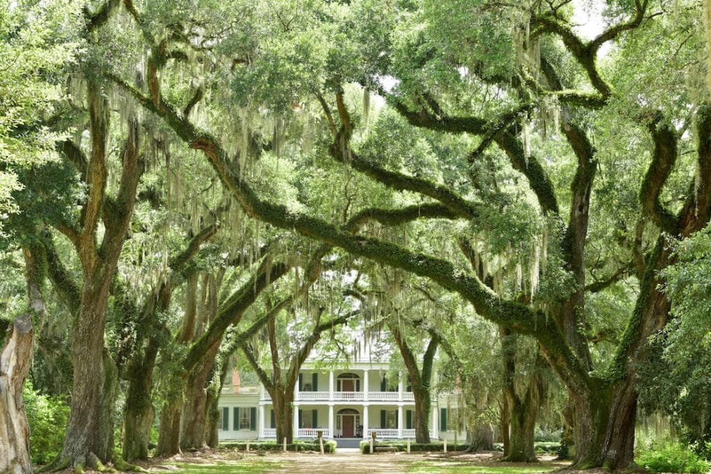 Rosedown Plantation State Historic Site, St. Francisville