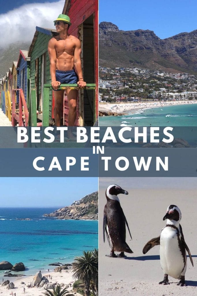 A man at Muizenberg Beach with some vivid colors beach huts behind him, Camps Bay Beach, Clifton second and first Beaches and three penguins walking at Boulders Beach