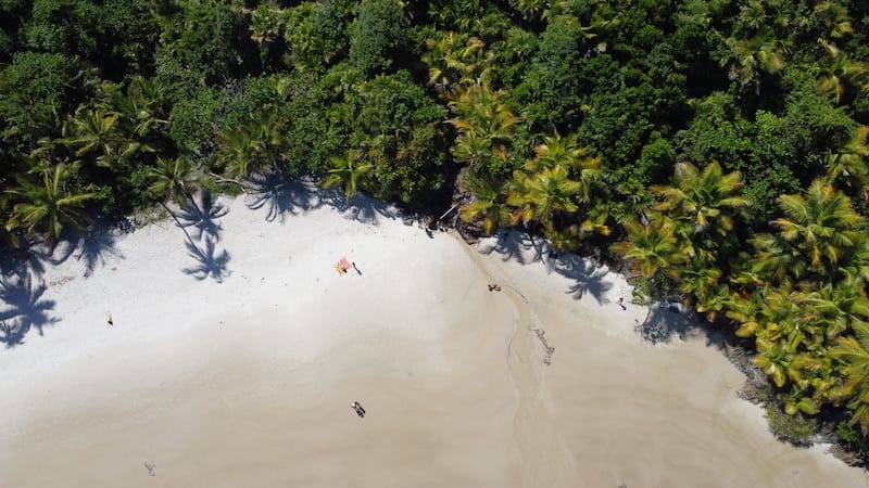 Vista aérea de uma floresta e uma faixa de areia na Praia de Itacarezinho, Itacaré, Bahia, Brasil
