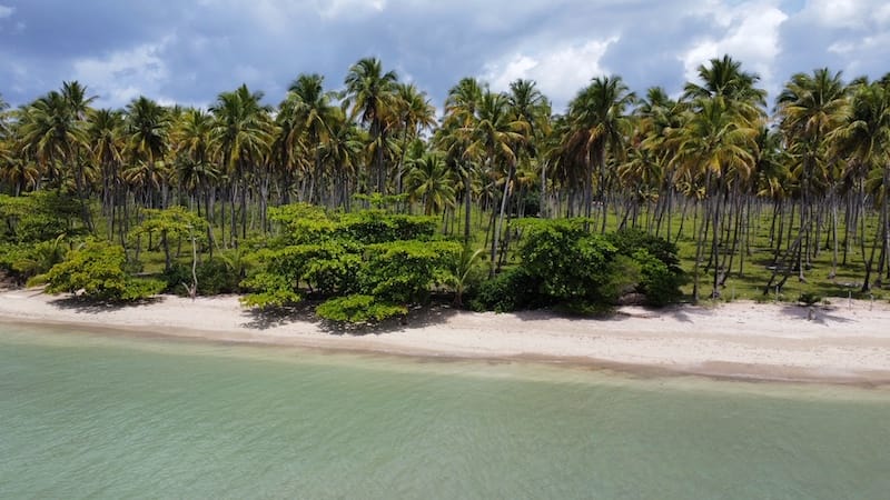 Vista aerea dos coqueirais e da praia de Moreré, Ilha de Boipeba, Bahia, Brasil