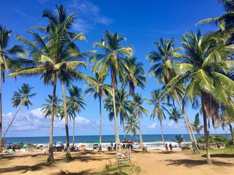 Los cocoteros de la playa de Resende, una de las mejores playas de Itacaré, Brasil