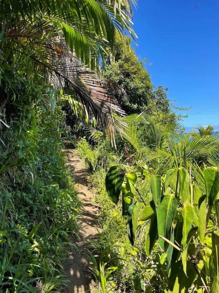 Part of the four beaches trail, Itacaré, Bahia, Brazil