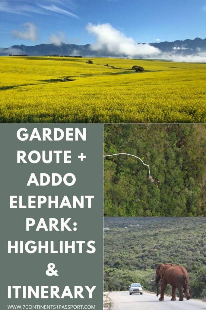 Garden Route Highlights + Addo with HotSpots2C: A Perfect 5-Day Itinerary 2