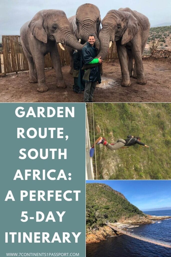 Garden Route Highlights + Addo with HotSpots2C: A Perfect 5-Day Itinerary 3