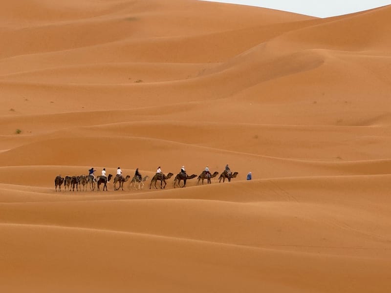 Some people riding a camel in the Sahara Desert, Merzouga, Morocco